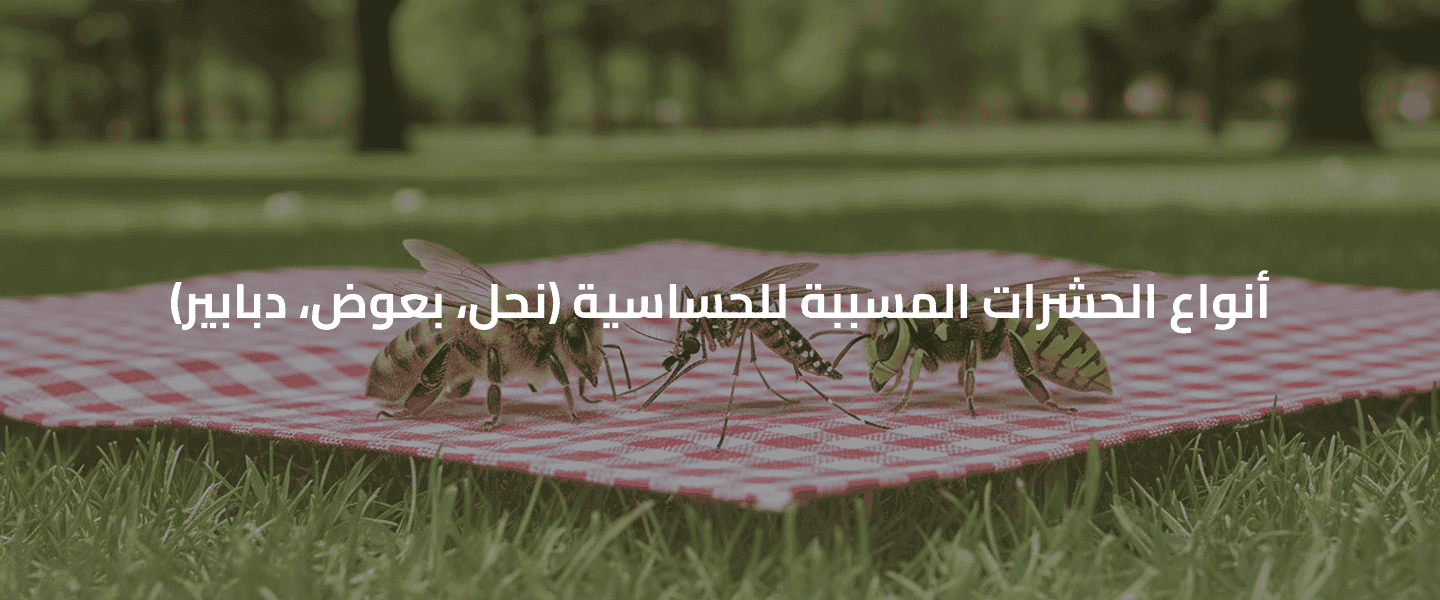 الحساسية من الحشرات